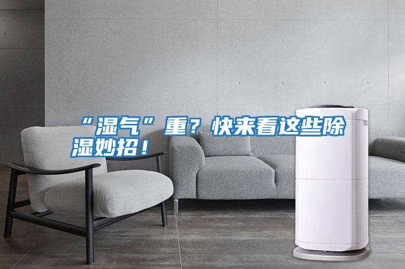 “濕氣”重?快來(lái)看這些除濕妙招!