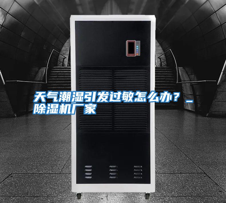 天氣潮濕引發(fā)過敏怎么辦?_除濕機(jī)廠家