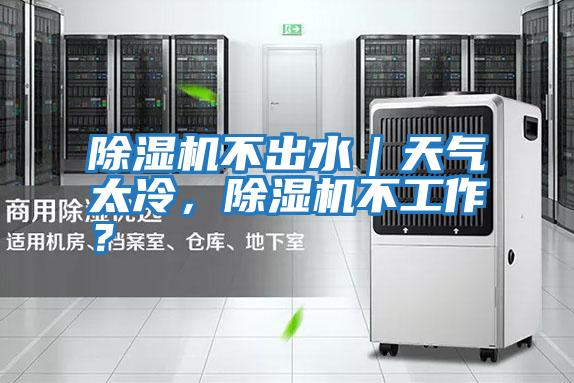 除濕機(jī)不出水｜天氣太冷，除濕機(jī)不工作？