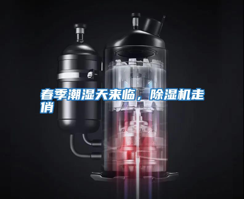 春季潮濕天來臨，除濕機走俏
