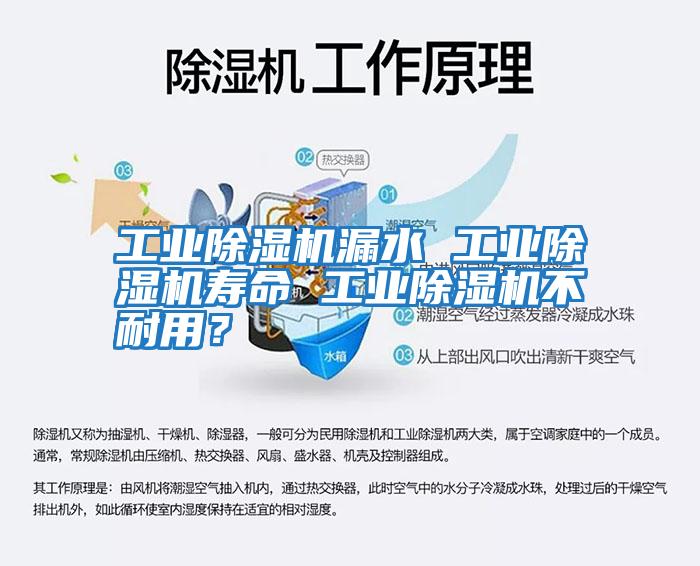 工業除濕機漏水 工業除濕機壽命 工業除濕機不耐用？