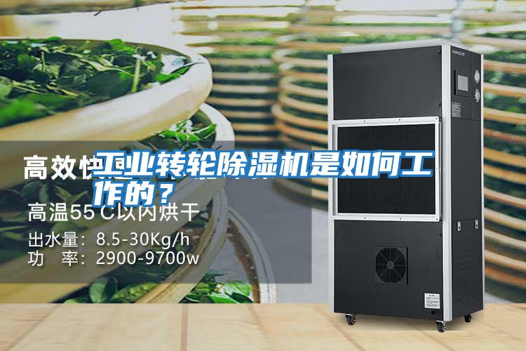 工業轉輪除濕機是如何工作的？