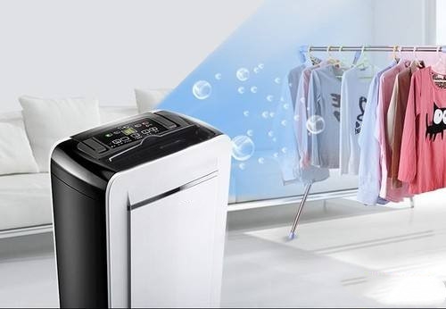 狗狗得了皮膚病,真兇竟是回南天?!