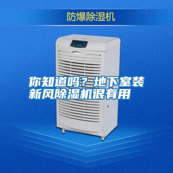 你知道嗎?地下室裝新風除濕機很有用