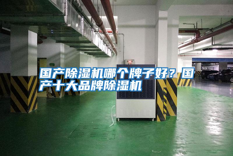 國產(chǎn)除濕機(jī)哪個(gè)牌子好?國產(chǎn)十大品牌除濕機(jī)