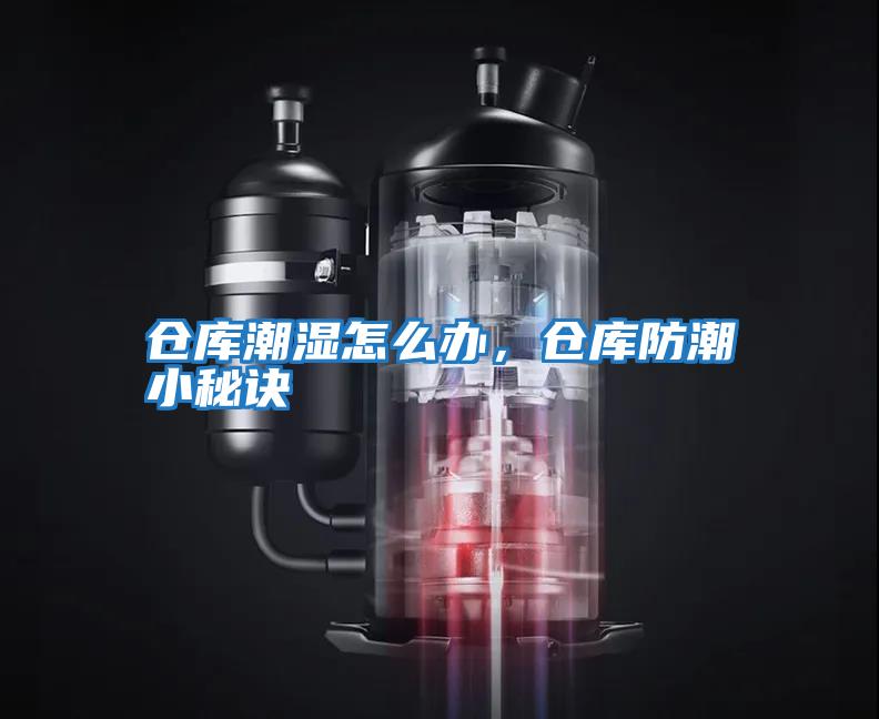 倉庫潮濕怎么辦,倉庫防潮小秘訣