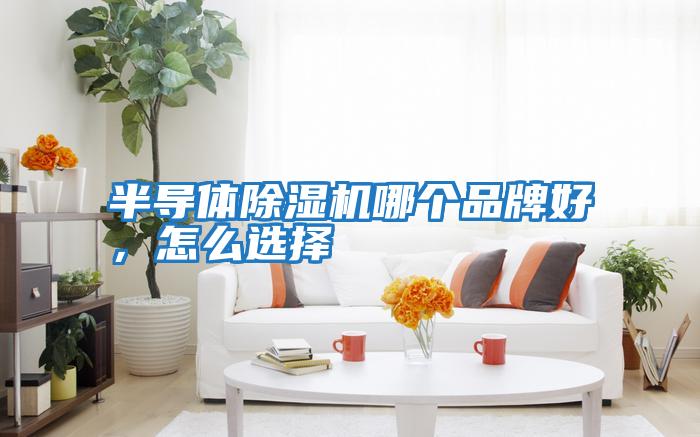 半導體除濕機哪個品牌好，怎么選擇