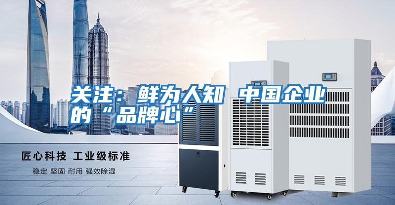 關注：鮮為人知 中國企業的“品牌心”