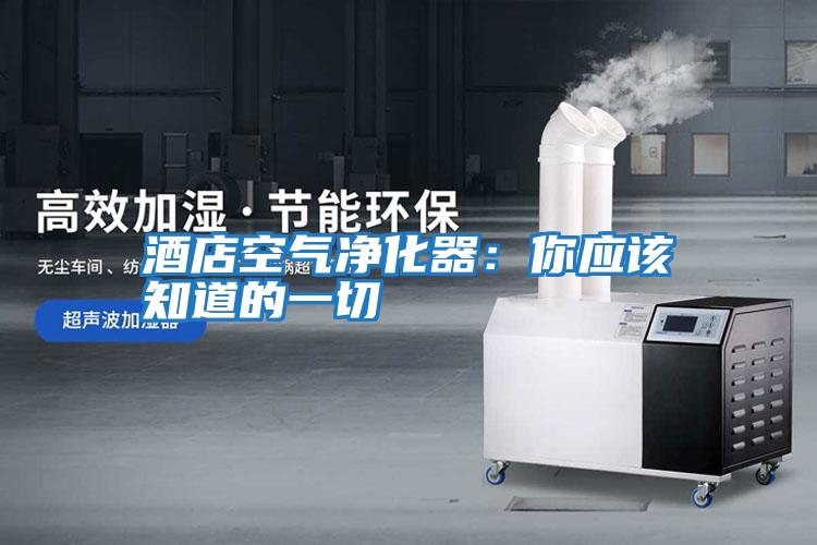 酒店空氣凈化器：你應該知道的一切