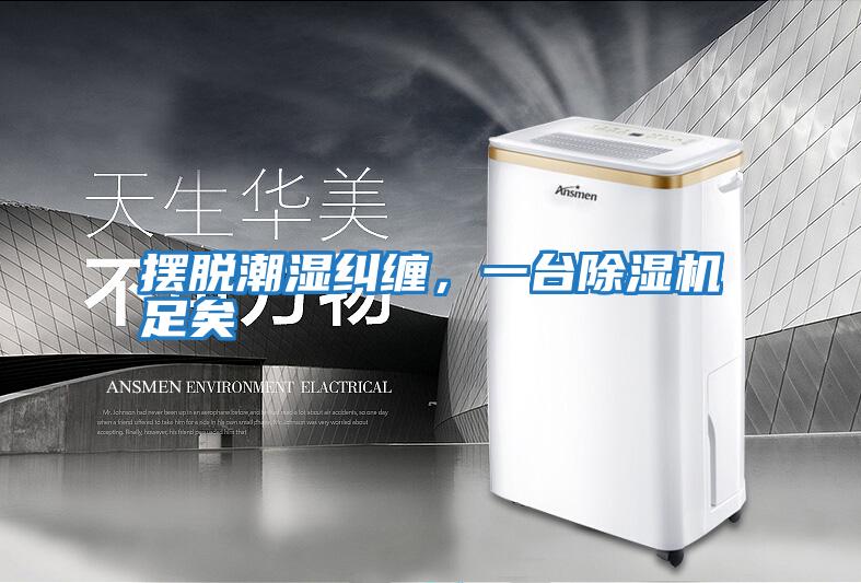 擺脫潮濕糾纏,一臺(tái)除濕機(jī)足矣