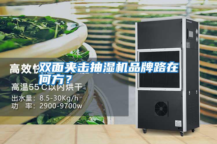 雙面夾擊抽濕機品牌路在何方？
