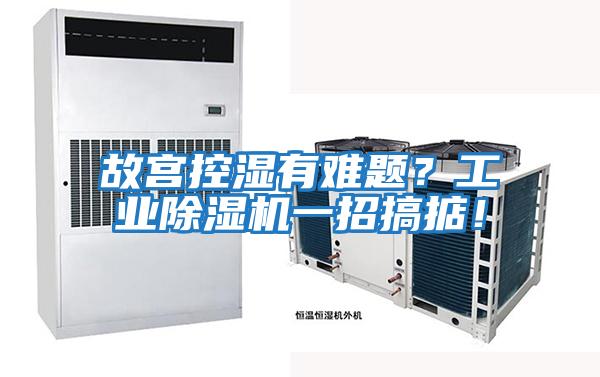 故宮控濕有難題？工業(yè)除濕機一招搞掂！