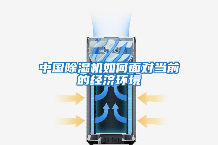 中國除濕機如何面對當前的經濟環境