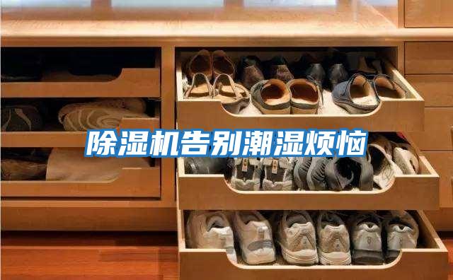 除濕機(jī)告別潮濕煩惱