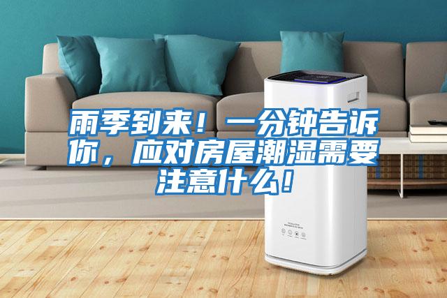 雨季到來!一分鐘告訴你,應(yīng)對房屋潮濕需要注意什么!