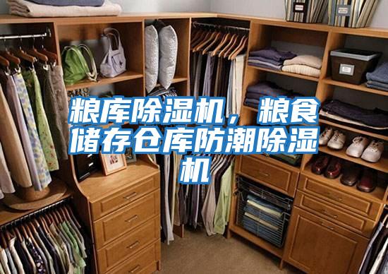 糧庫除濕機，糧食儲存倉庫防潮除濕機