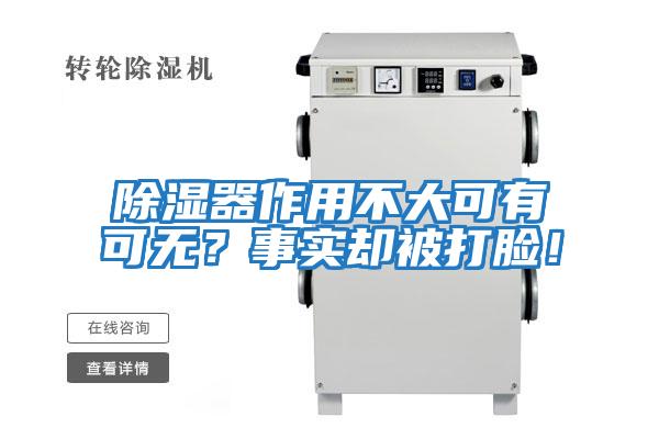 除濕器作用不大可有可無？事實卻被打臉！