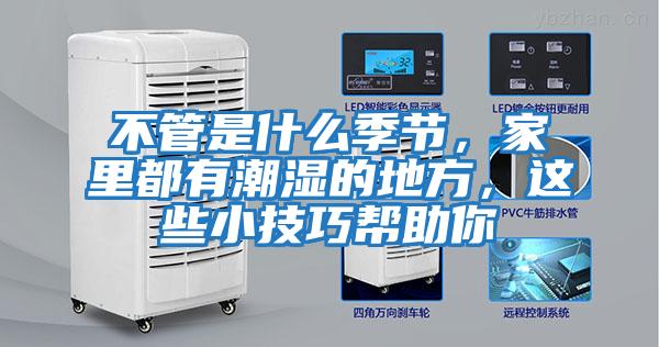 不管是什么季節，家里都有潮濕的地方，這些小技巧幫助你