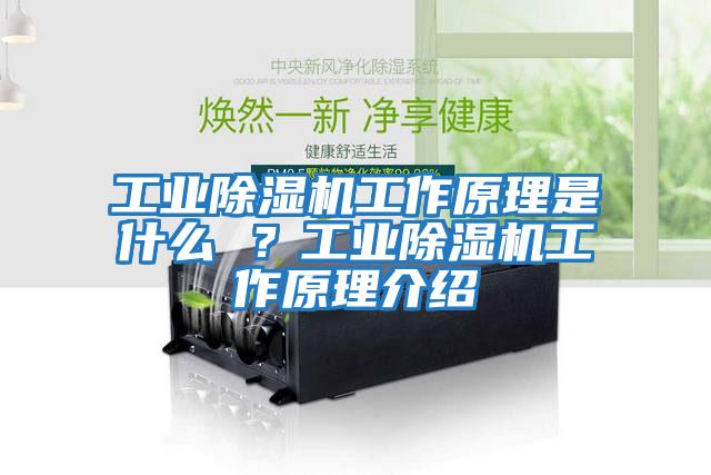 工業除濕機工作原理是什么 ？工業除濕機工作原理介紹