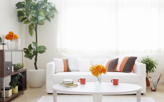 梅雨季節謹防濕度過多而導致細菌滋生