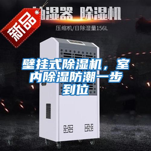 壁掛式除濕機，室內除濕防潮一步到位