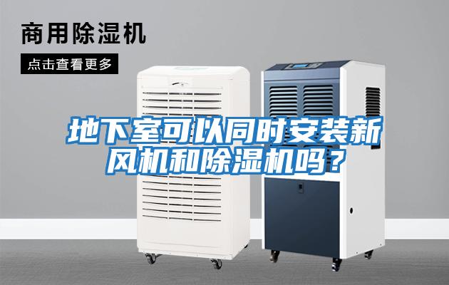 地下室可以同時安裝新風機和除濕機嗎?