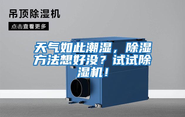 天氣如此潮濕,除濕方法想好沒?試試除濕機!