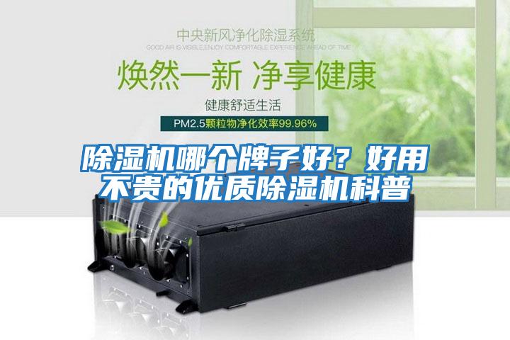 除濕機哪個牌子好？好用不貴的優質除濕機科普