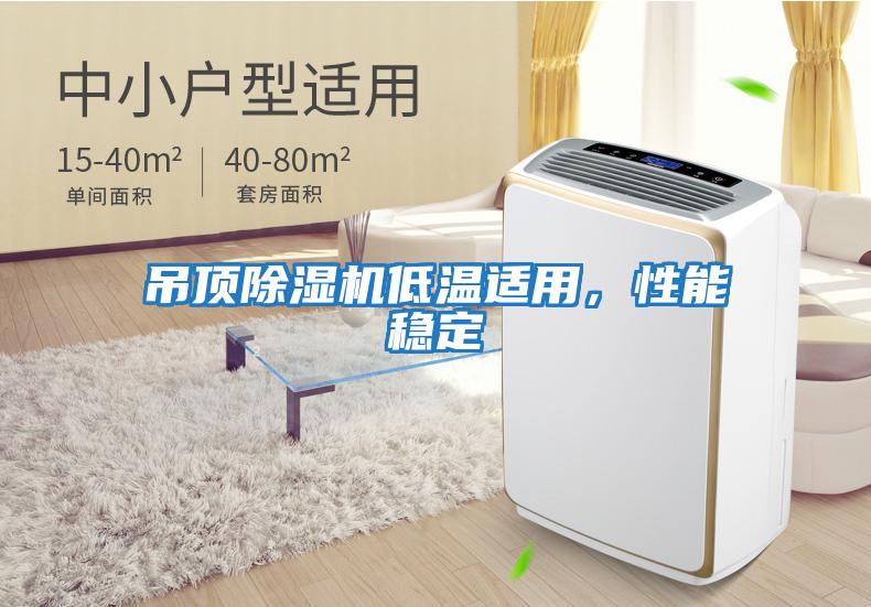 吊頂除濕機低溫適用，性能穩定