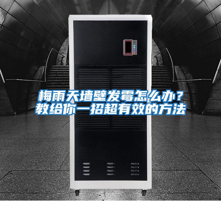 梅雨天墻壁發(fā)霉怎么辦?教給你一招超有效的方法