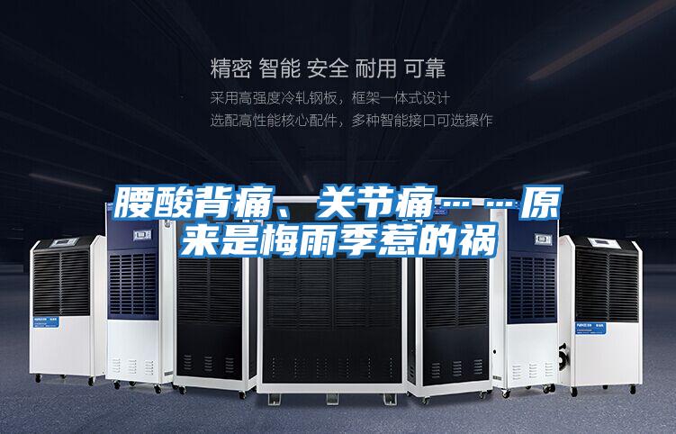 腰酸背痛、關節痛……原來是梅雨季惹的禍