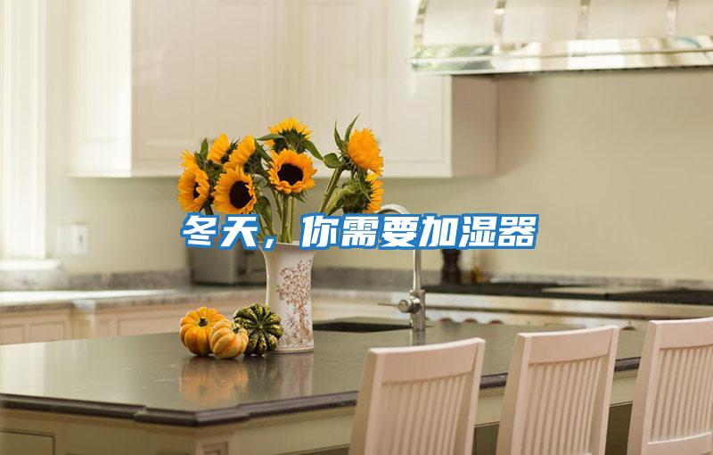 冬天，你需要加濕器