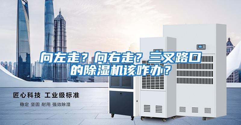 向左走?向右走?三叉路口的除濕機該咋辦?