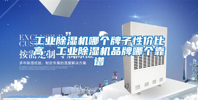 工業(yè)除濕機(jī)哪個(gè)牌子性?xún)r(jià)比高,工業(yè)除濕機(jī)品牌哪個(gè)靠譜