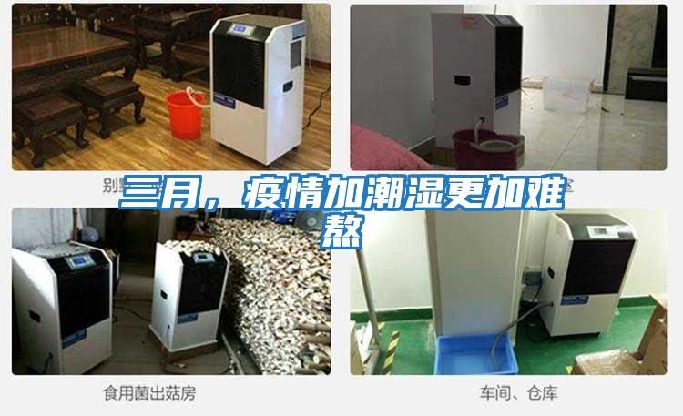 三月，疫情加潮濕更加難熬