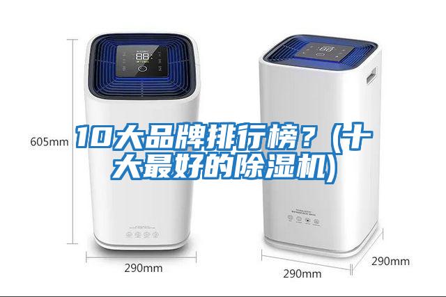 10大品牌排行榜？(十大最好的除濕機)