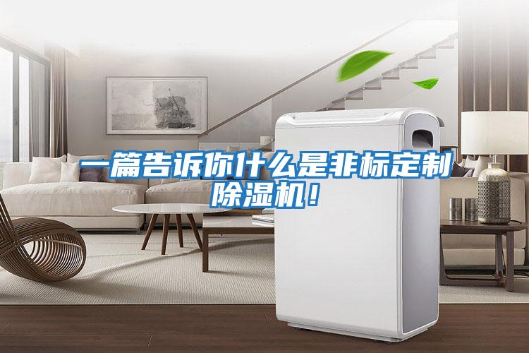 一篇告訴你什么是非標定制除濕機！