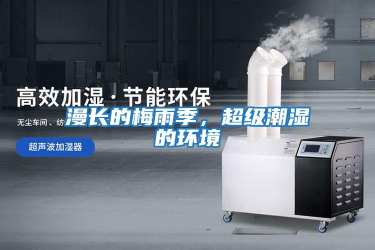 漫長的梅雨季，超級潮濕的環境