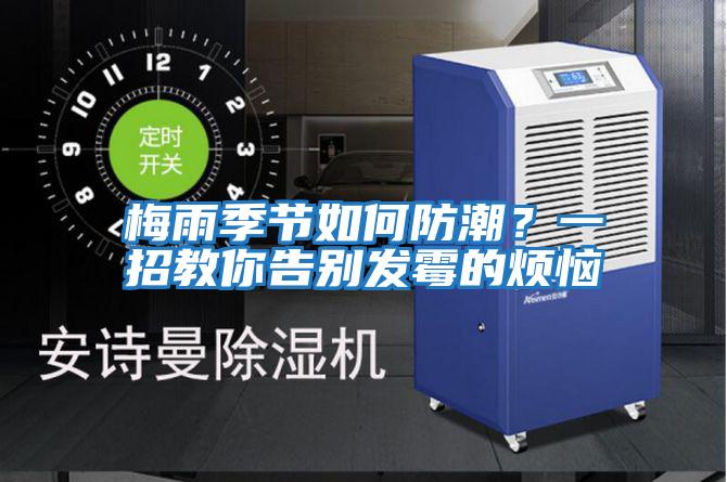 梅雨季節如何防潮？一招教你告別發霉的煩惱