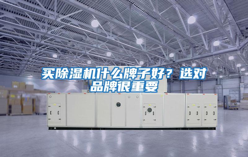 買除濕機什么牌子好？選對品牌很重要