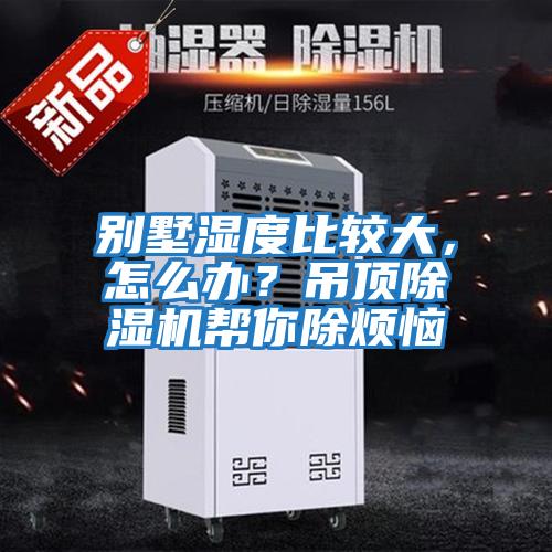 別墅濕度比較大，怎么辦？吊頂除濕機(jī)幫你除煩惱