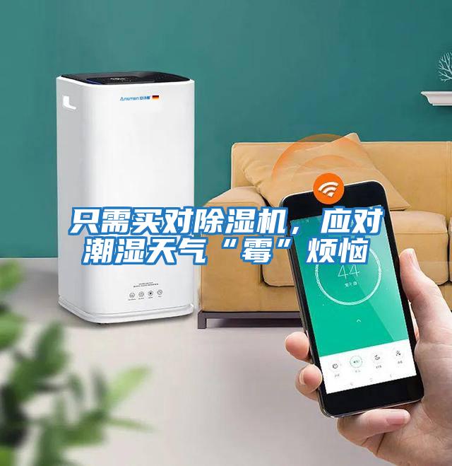 只需買(mǎi)對(duì)除濕機(jī)，應(yīng)對(duì)潮濕天氣“霉”煩惱
