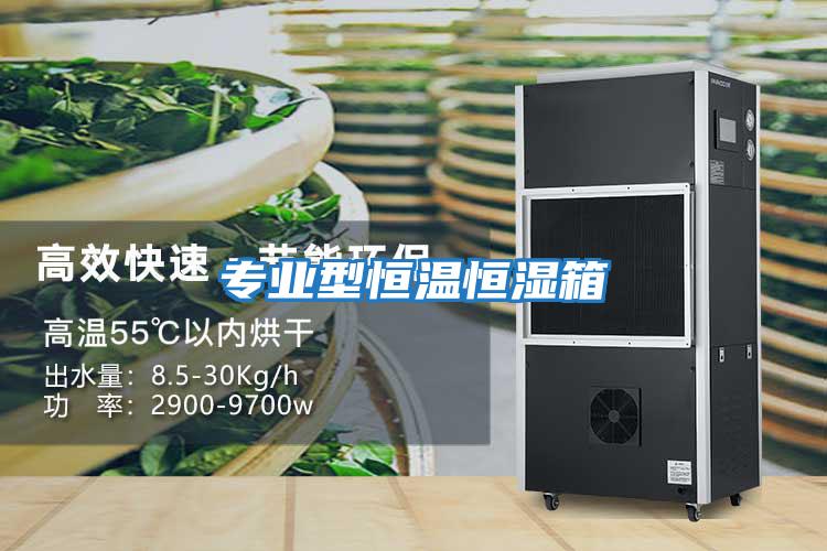 專業型恒溫恒濕箱