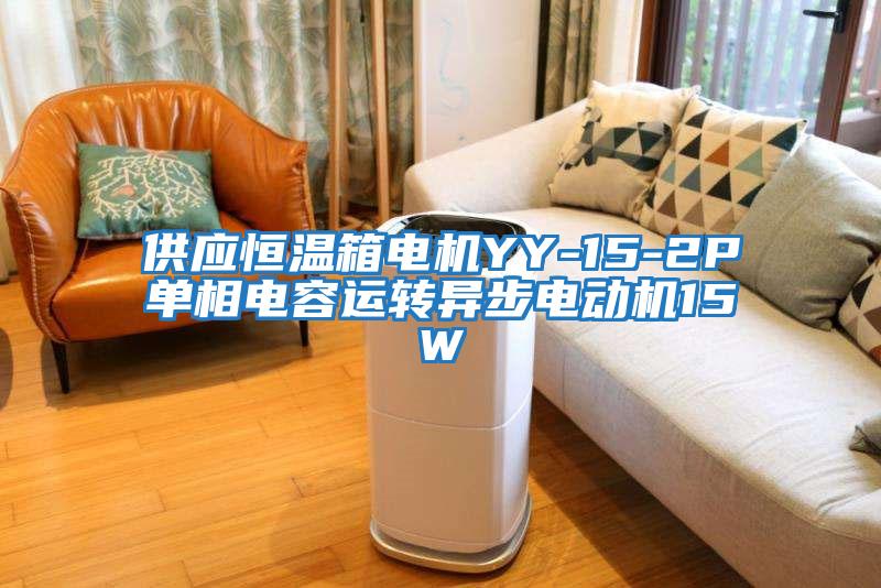 供應(yīng)恒溫箱電機YY-15-2P單相電容運轉(zhuǎn)異步電動機15W