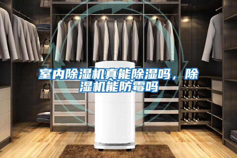 室內(nèi)除濕機(jī)真能除濕嗎，除濕機(jī)能防霉嗎