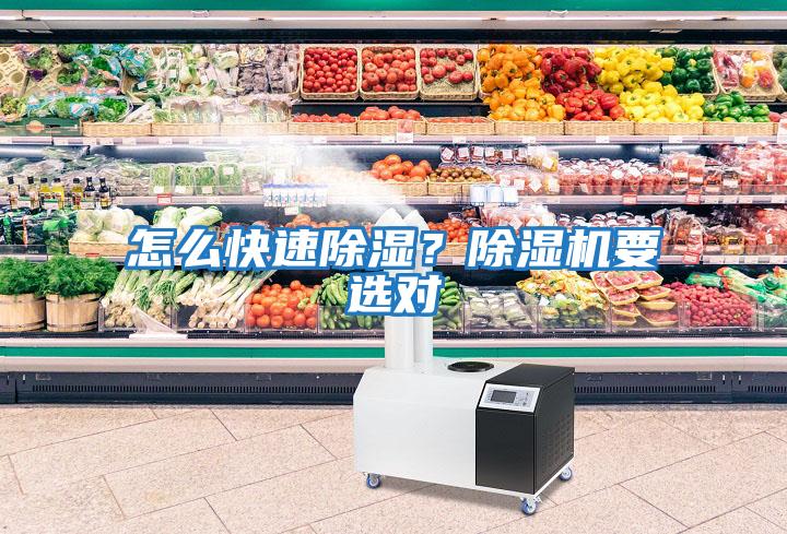 怎么快速除濕？除濕機(jī)要選對(duì)