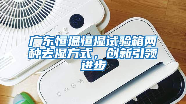 廣東恒溫恒濕試驗箱兩種去濕方式，創新引領進步
