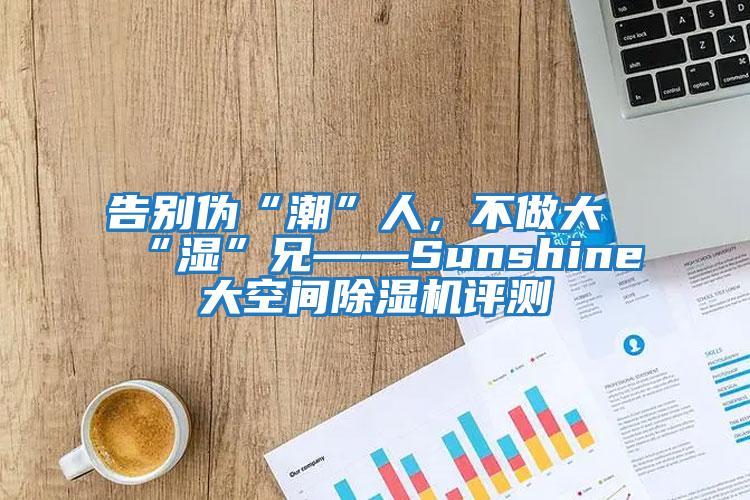 告別偽“潮”人，不做大“濕”兄——Sunshine大空間除濕機評測