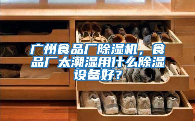 廣州食品廠除濕機，食品廠太潮濕用什么除濕設(shè)備好？