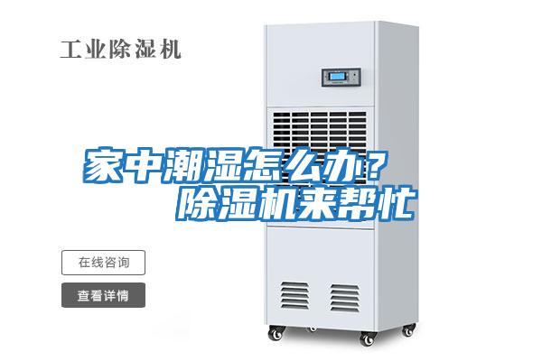 家中潮濕怎么辦？    除濕機來幫忙
